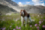 MayfieldGulch_-27.jpeg