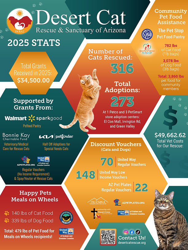 2025 Stats Infographic DCR (1).jpg