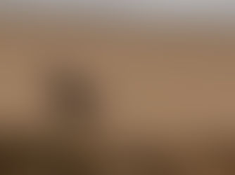 Migration of Thought