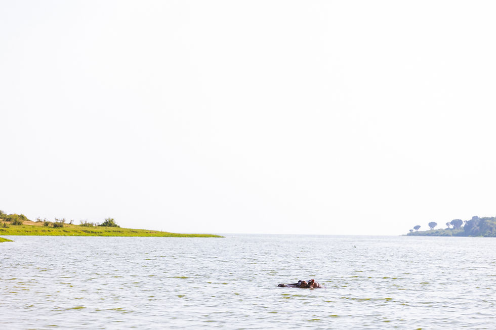 Gazing out of the channel, its waters emptying into Lake Edward - continuing in a straight line will land one in the Democratic Republic of the Congo. An invisible line across the lake marks the international boundary between the two countries just about 15km away from this point.