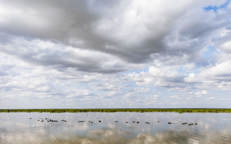 We are all living under the same sky.