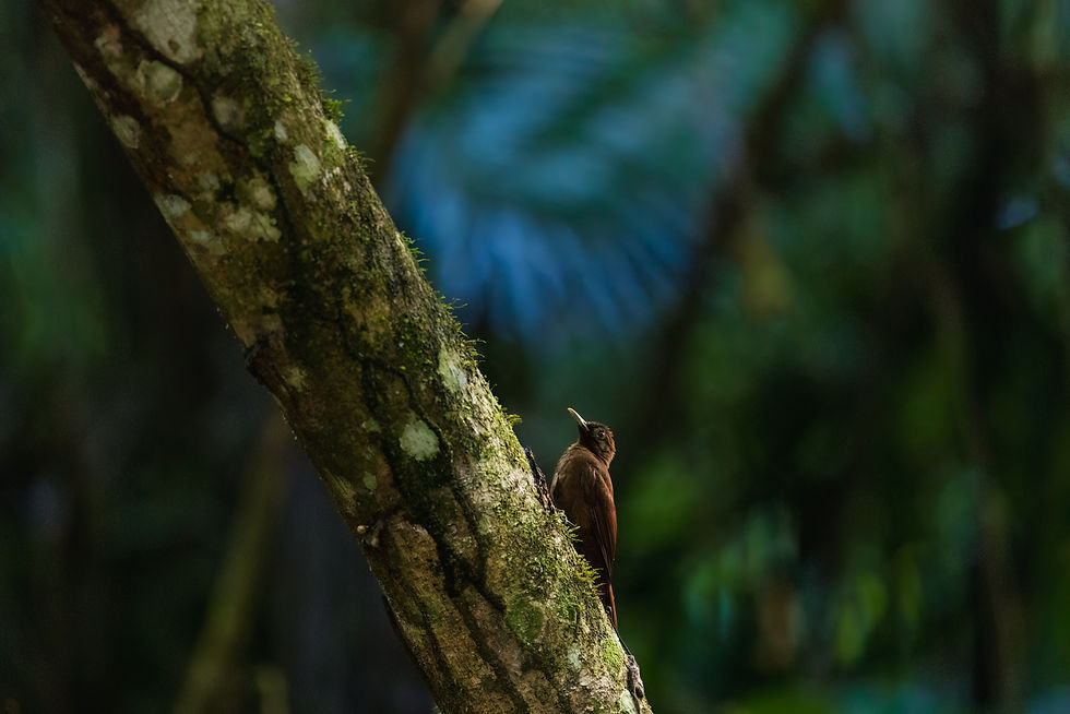 Secrets are only revealed in silence.