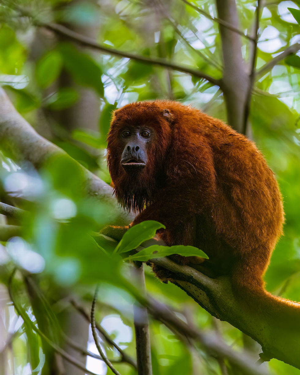 Deep inquiry is essential for rewriting our history. Not by erasing the past, but by letting the past inform ourselves such that we can make unbiased decisions, some of which are going to be difficult.