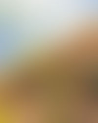 Eleven Years of Twelves