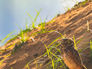 Eleven Years of Twelves