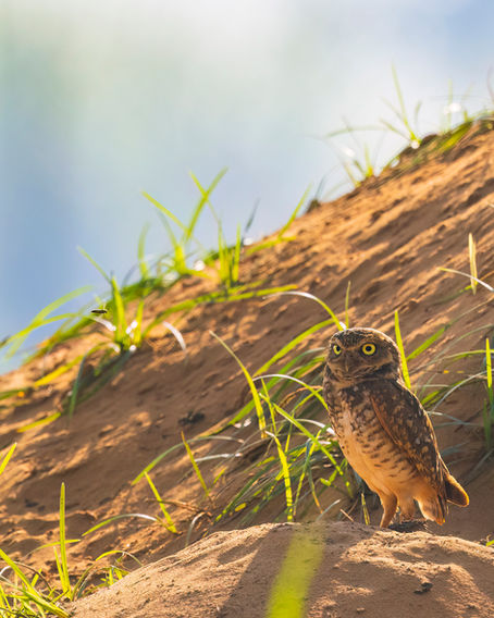 Eleven Years of Twelves