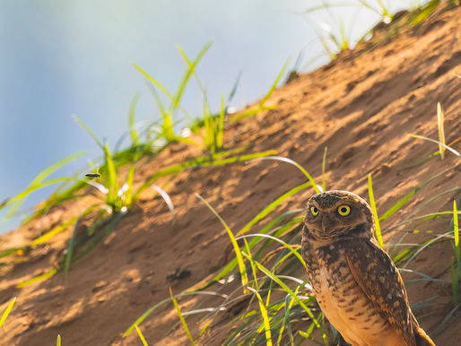 Eleven Years of Twelves