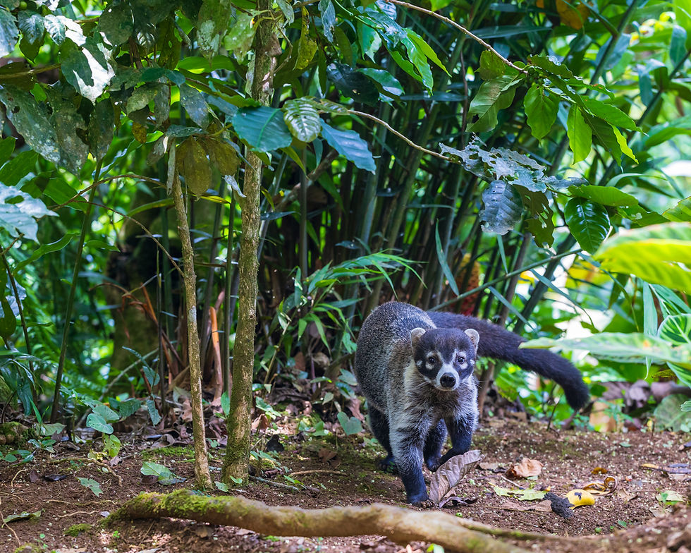 Lock eyes with something wild, and let it awaken the wild within you.