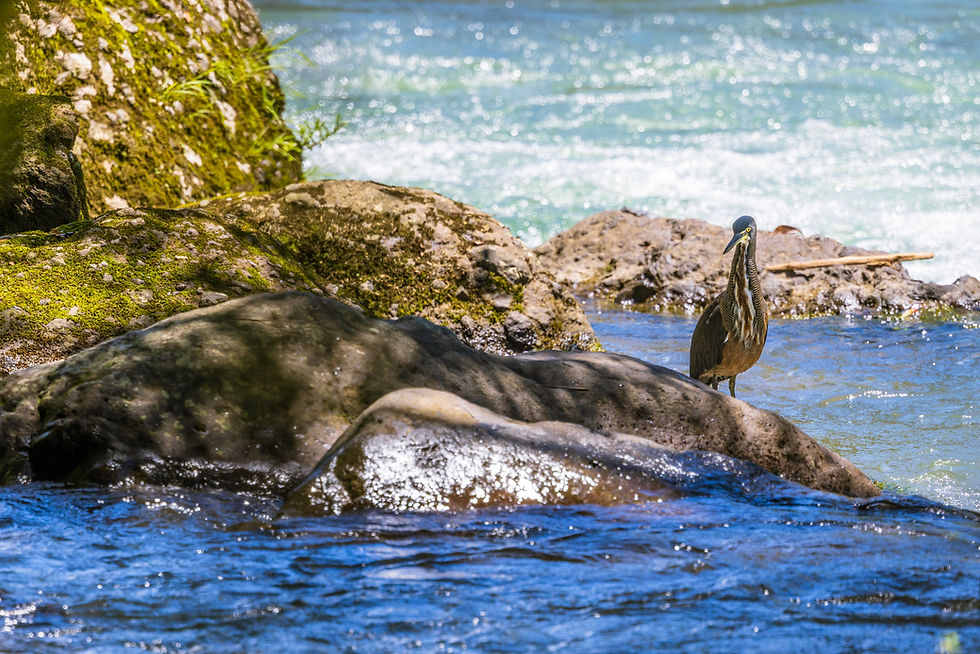 Heaven is a place where we can drink directly from the river.