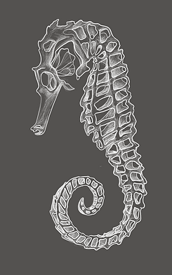 176973a8-088a-45f4-ac2e-6d925ab13b42.png