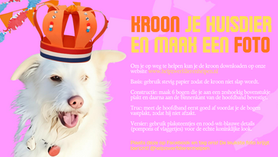 Koningsdag FOTOSHOOT