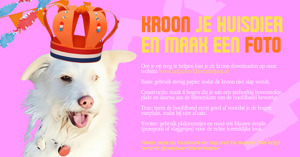 Koningsdag FOTOSHOOT