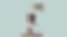 Book Cover Edits56.001.png