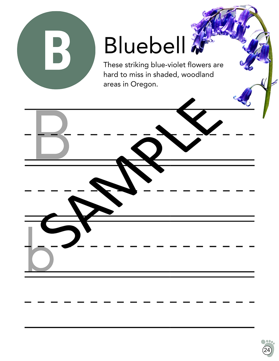 Thumbnail: Wildflowers Nature Study