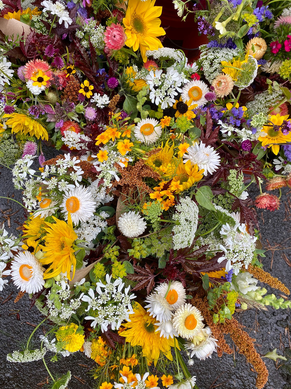 Thumbnail: Pre-made Bouquet: CSA September Flower Share, 4 weeks