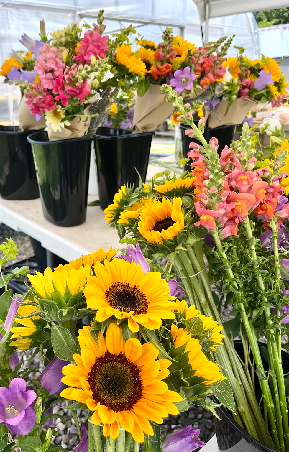 Thumbnail: Loose Flowers: CSA Summer Flower Share, 12 weeks