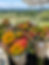 Thumbnail: Pre-made Bouquet: CSA Summer Flower Share, 12 weeks