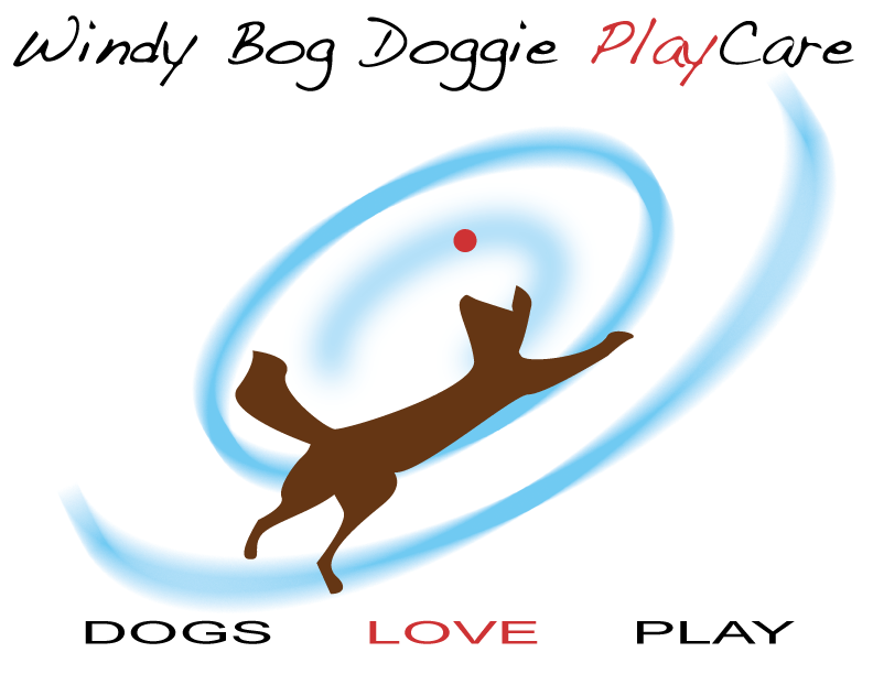 carver ma dog daycare