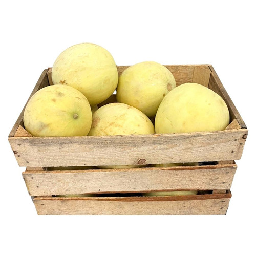 Melon Valenciano 19kg DAC Cancún