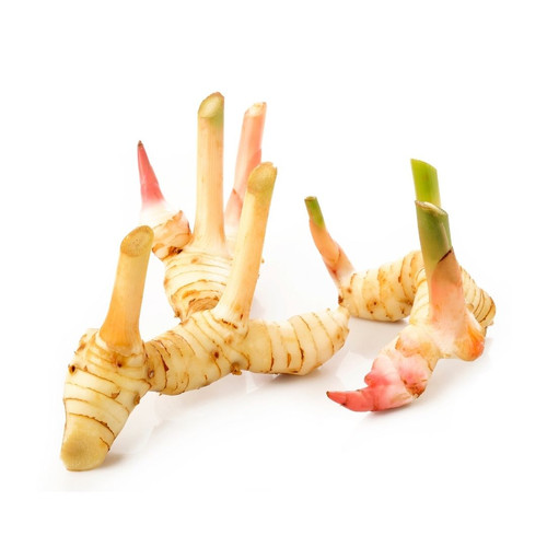 Galanga 100gr DAC Quality Foods