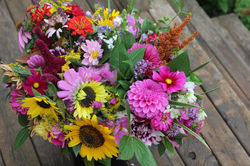 November December 2016 120