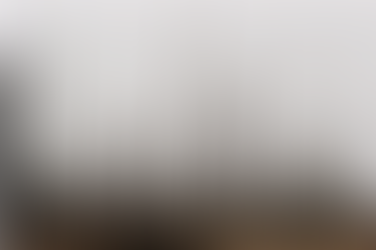 Humanos contra la naturaleza: nuestro largo y destructivo viaje hacia la era de la extinción