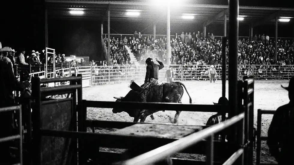 Professional bull riding places like Bridgestone Arena Nashville PBR events