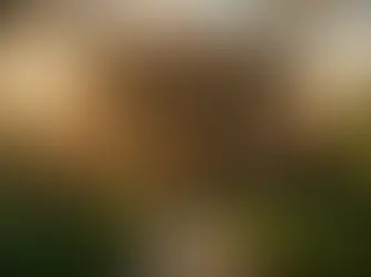 Search Engine Optimization for Charleston STR Owners: Beat Airbnb Rankings