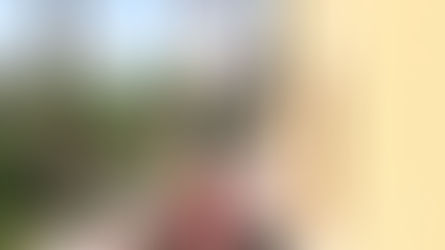 Best Things to Do in St. Augustine for Couples (A Local Guide)