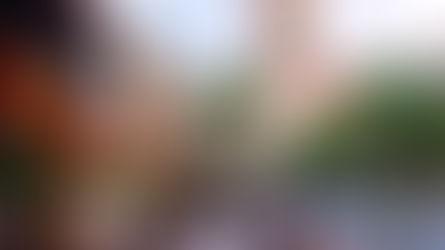 Best Restaurants in St. Augustine for Couples (Local & Romantic Dining Guide)