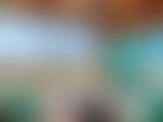 Comparing Scottsdale Vacation Rental Management Companies: What Really Matters