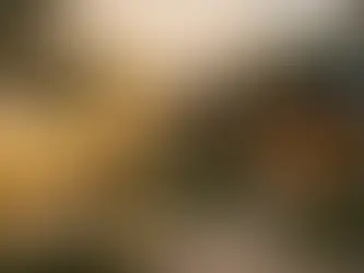 Google Ads for Vacation Rentals: Strategies That Actually Drive Bookings