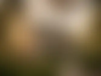 Revenue Optimization Charleston, SC: The 1st Mistake Property Owners Make