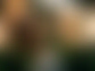 Property Management Charleston: Why Professional Services Matter in 2026