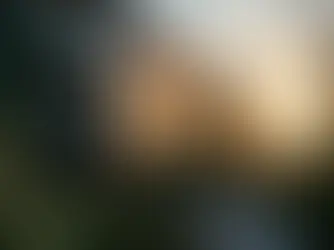 How to Find a Property Management Company Near Me (2026 Guide)