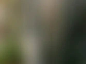 Smart Lock and Keyless Entry Systems Charleston SC: The Complete Guide