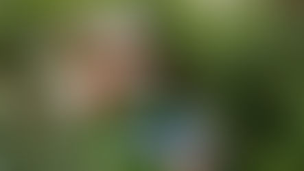 The Ultimate St. Augustine Travel Guide (First-Time Visitors)