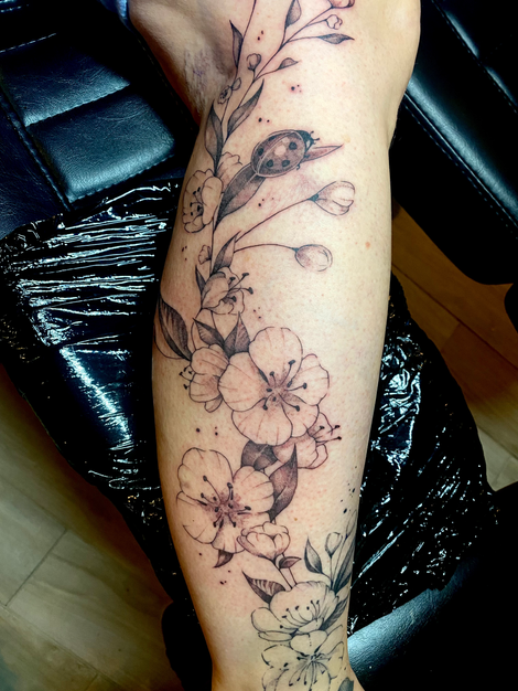 Fleurs de cerisier et petite coccinelle