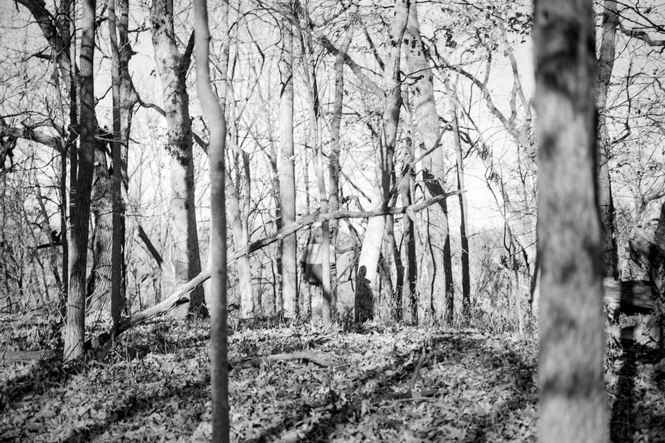 A black-and-white horizontal photograph of the open winter woods filled by bright sunshine and hard shadows. A shadow of a person stands out on the trunk of a tree at the center of the frame, while the body of the person blends in with the trees.