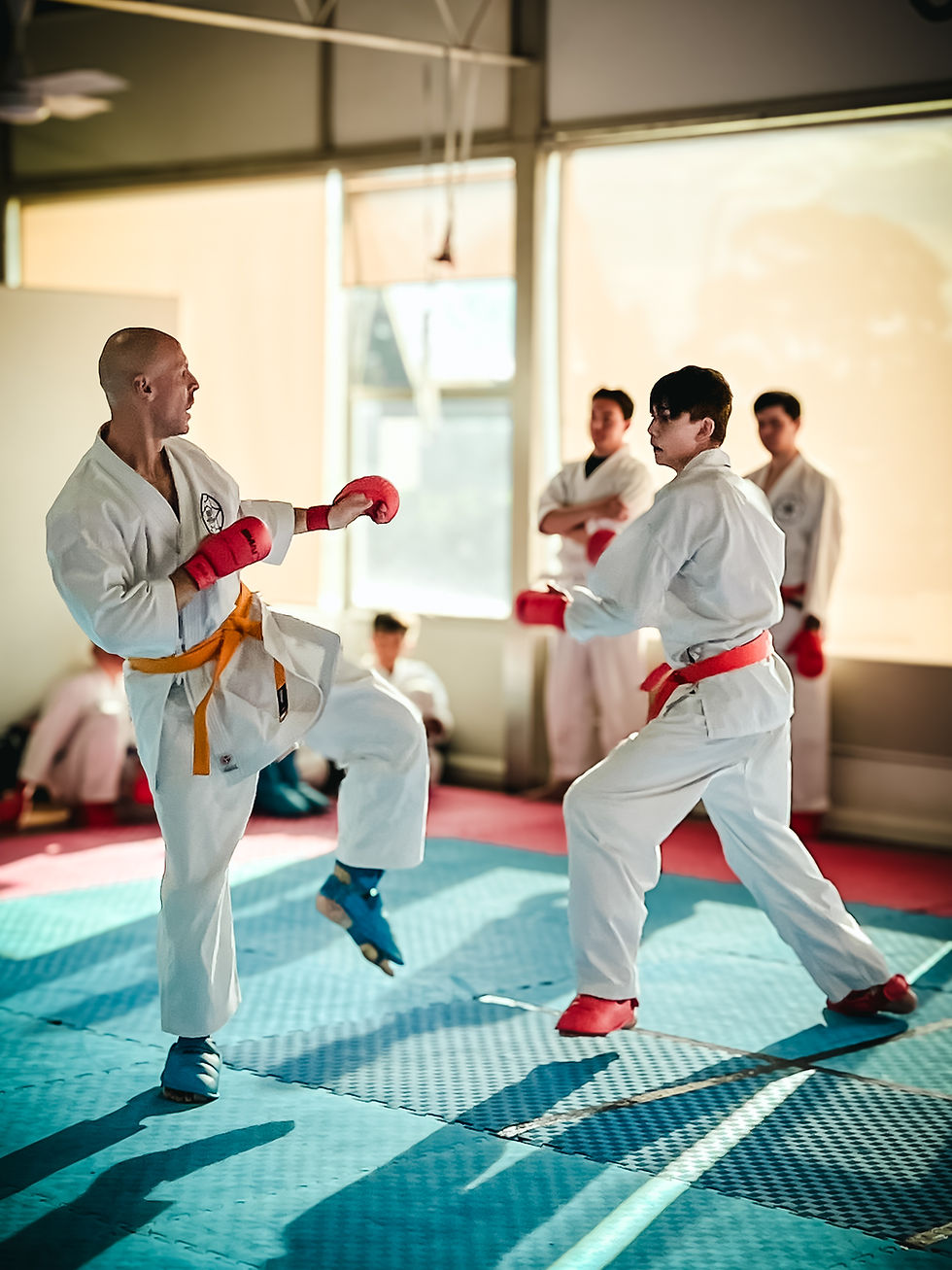 Shinbukan Grading Day