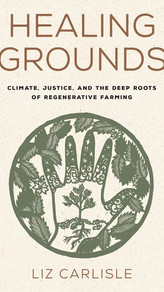 Healing Grounds.jpeg