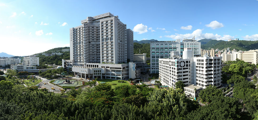 全景