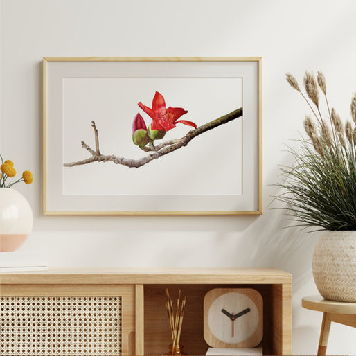 Understanding Botanical Art: What Makes Botanical Paintings Timeless?