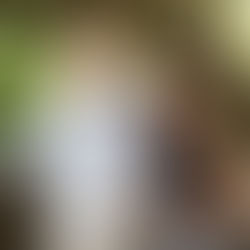 October Newsletter 2025