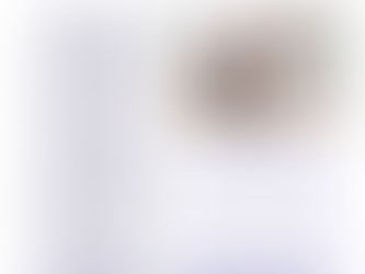 November Newsletter 2023