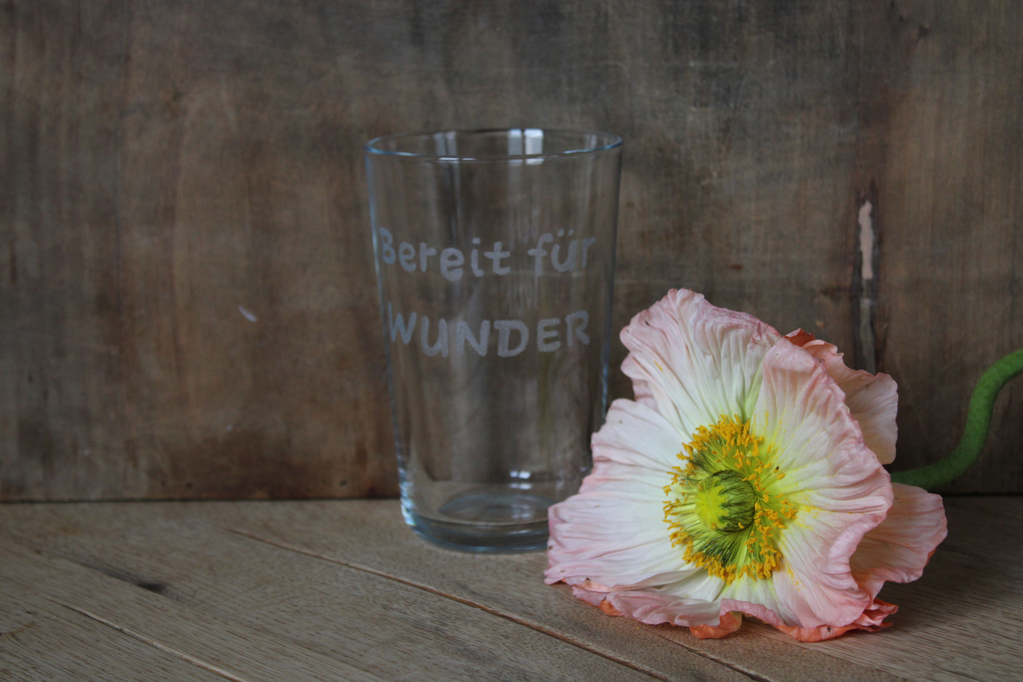 Trinkglas Bereit für Wunder