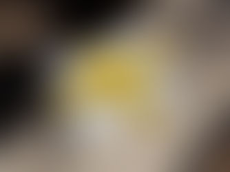 OFFF 2023 Book: TURN