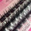 Thumbnail: DIY Lashes (Style:Jihan)