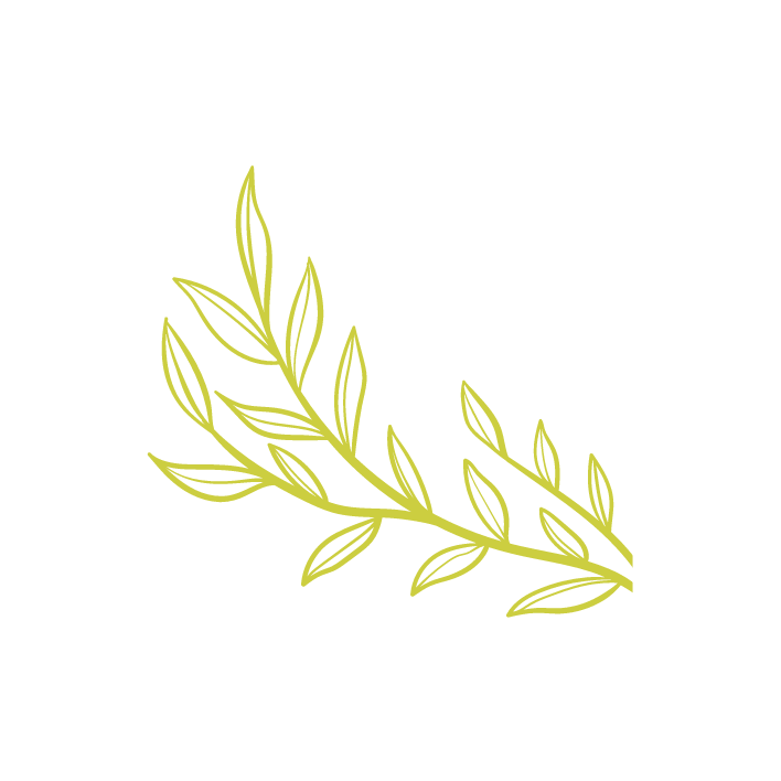 graphic sketch of branch