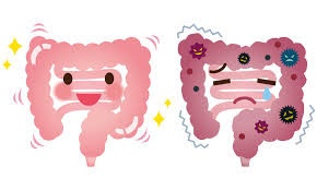 What To Eat For a Healthy Gut